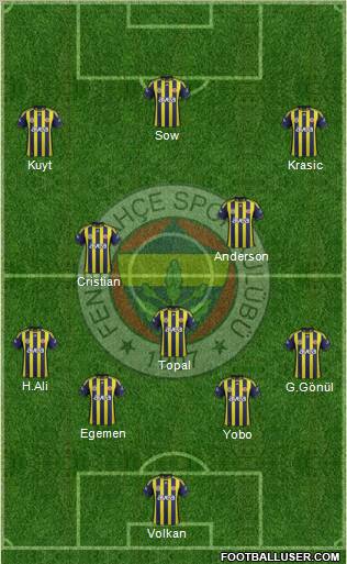 Fenerbahçe SK Formation 2012