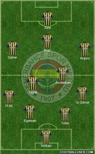 Fenerbahçe SK Formation 2012