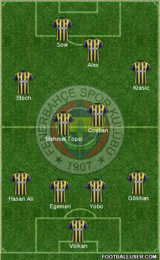 Fenerbahçe SK Formation 2012