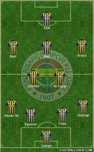 Fenerbahçe SK Formation 2012