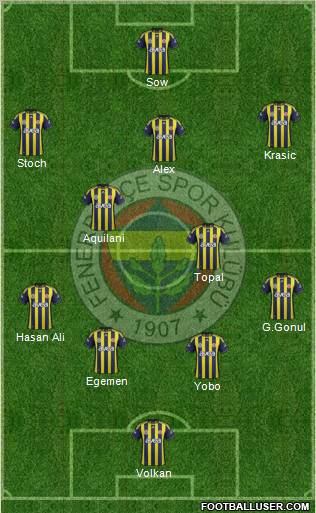 Fenerbahçe SK Formation 2012