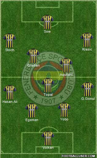 Fenerbahçe SK Formation 2012