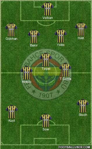 Fenerbahçe SK Formation 2012