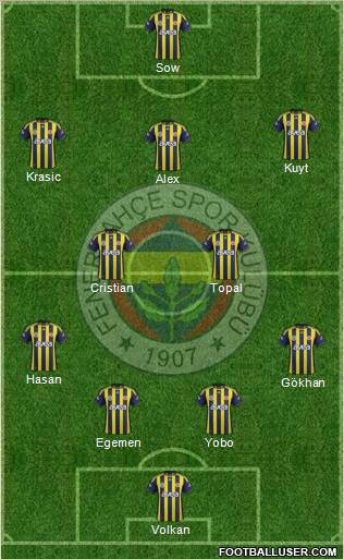 Fenerbahçe SK Formation 2012