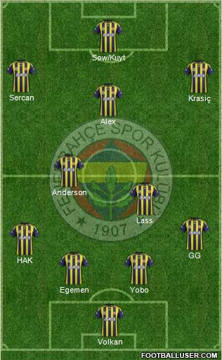 Fenerbahçe SK Formation 2012