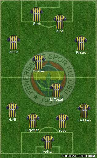 Fenerbahçe SK Formation 2012