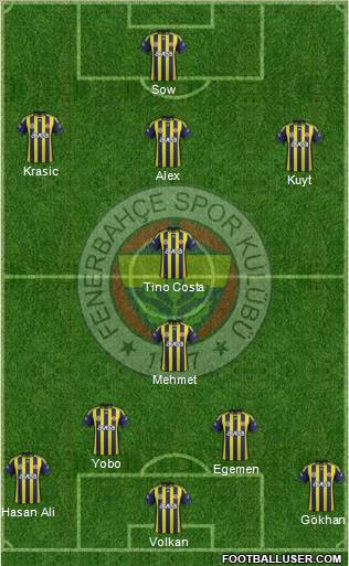 Fenerbahçe SK Formation 2012