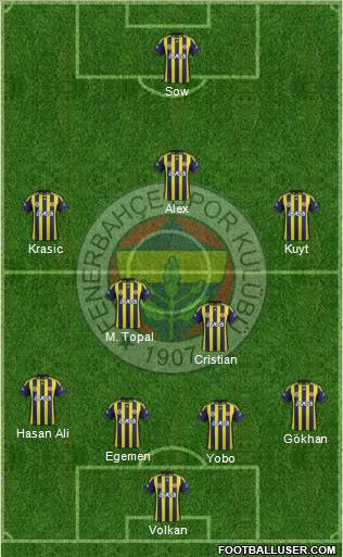 Fenerbahçe SK Formation 2012