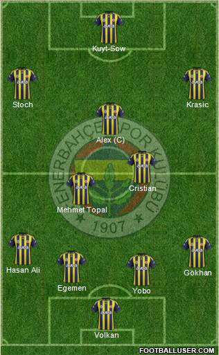 Fenerbahçe SK Formation 2012