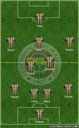 Fenerbahçe SK Formation 2012
