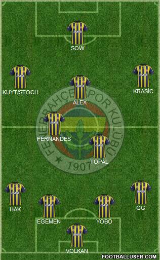 Fenerbahçe SK Formation 2012