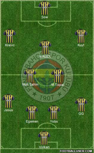 Fenerbahçe SK Formation 2012