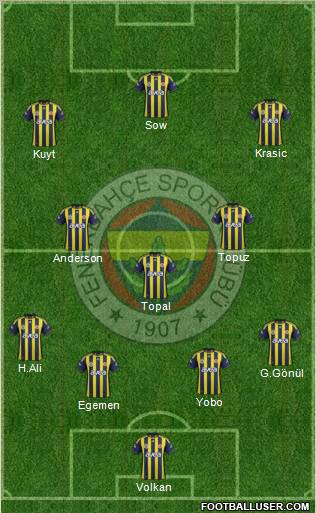 Fenerbahçe SK Formation 2012