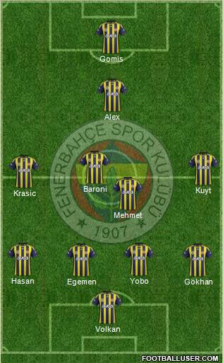 Fenerbahçe SK Formation 2012