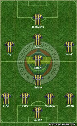 Fenerbahçe SK Formation 2012