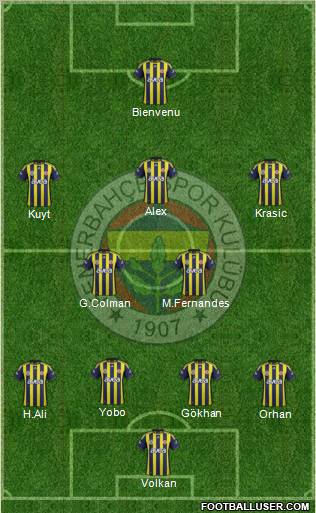 Fenerbahçe SK Formation 2012