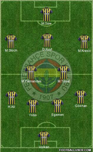 Fenerbahçe SK Formation 2012