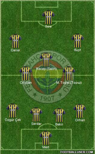 Fenerbahçe SK Formation 2012