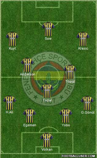 Fenerbahçe SK Formation 2012