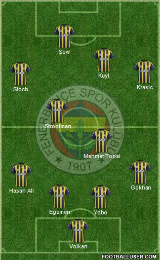 Fenerbahçe SK Formation 2012