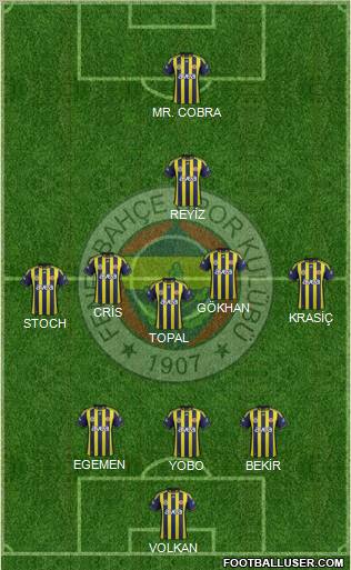Fenerbahçe SK Formation 2012