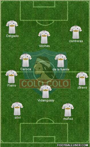 CSD Colo Colo Formation 2012