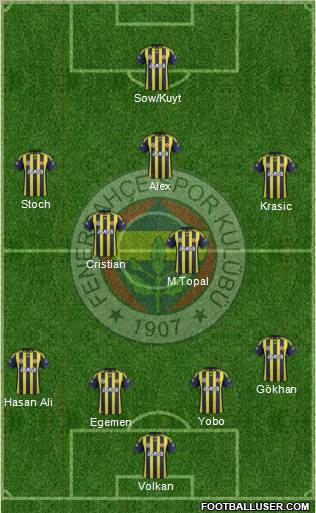Fenerbahçe SK Formation 2012