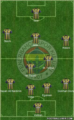 Fenerbahçe SK Formation 2012