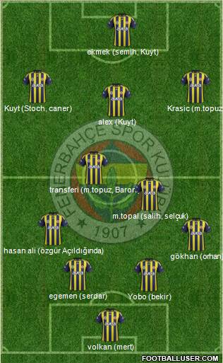 Fenerbahçe SK Formation 2012
