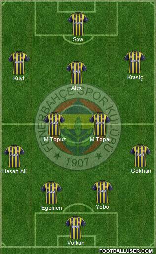 Fenerbahçe SK Formation 2012