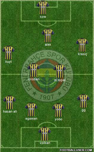 Fenerbahçe SK Formation 2012