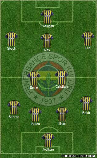 Fenerbahçe SK Formation 2012