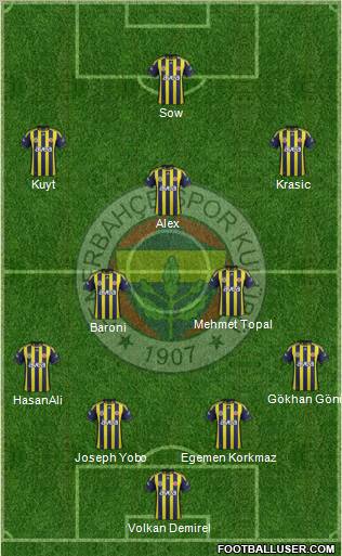 Fenerbahçe SK Formation 2012