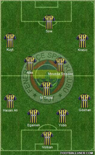 Fenerbahçe SK Formation 2012