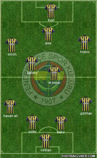Fenerbahçe SK Formation 2012