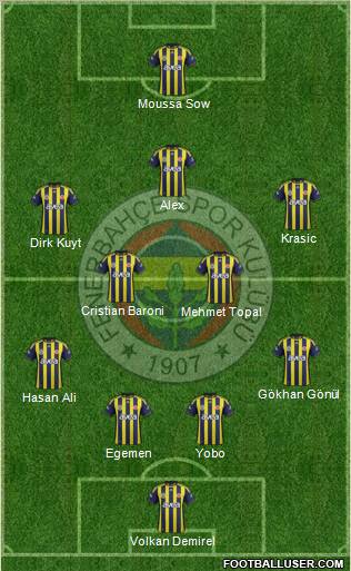 Fenerbahçe SK Formation 2012