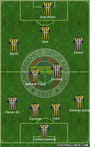 Fenerbahçe SK Formation 2012