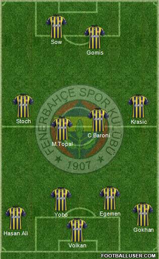 Fenerbahçe SK Formation 2012
