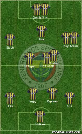 Fenerbahçe SK Formation 2012