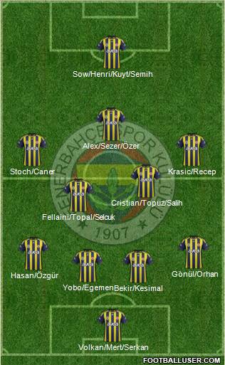 Fenerbahçe SK Formation 2012