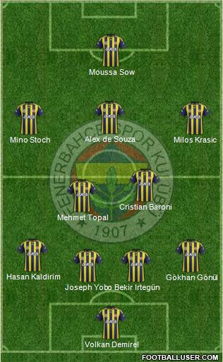 Fenerbahçe SK Formation 2012