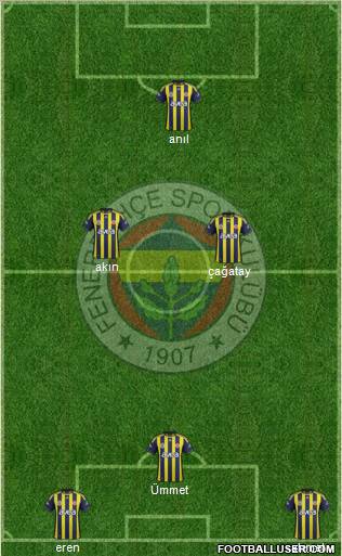 Fenerbahçe SK Formation 2012