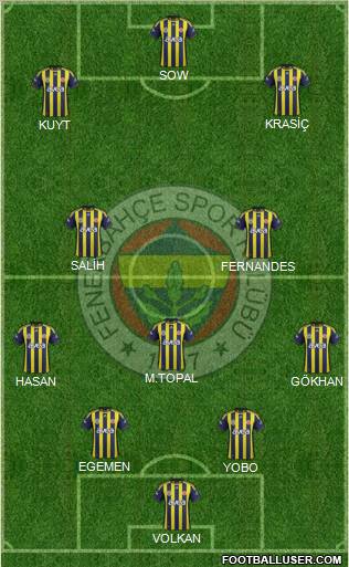 Fenerbahçe SK Formation 2012