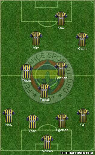 Fenerbahçe SK Formation 2012