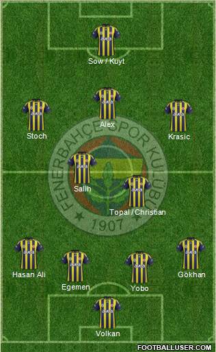 Fenerbahçe SK Formation 2012