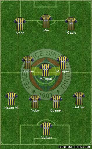 Fenerbahçe SK Formation 2012