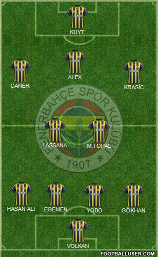 Fenerbahçe SK Formation 2012