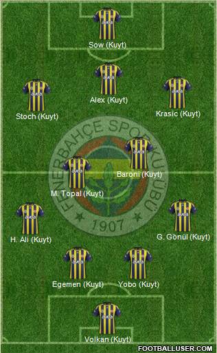 Fenerbahçe SK Formation 2012