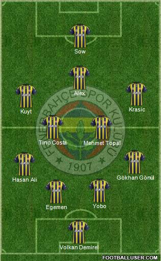 Fenerbahçe SK Formation 2012