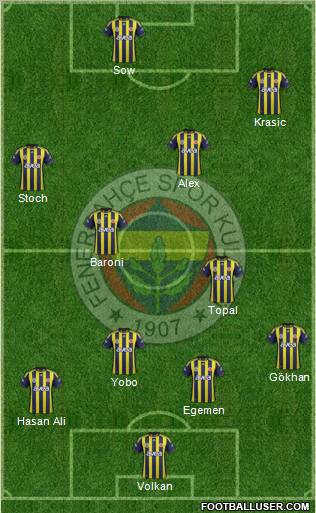 Fenerbahçe SK Formation 2012